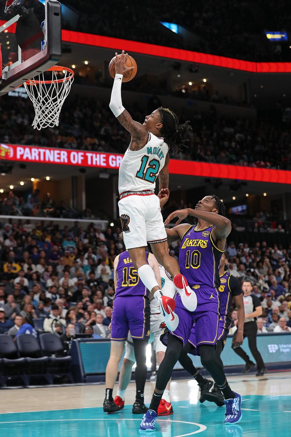 在法律的世 在法律的世